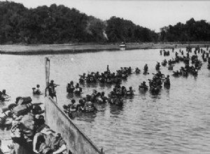 Crocodiles and vultures exterminated a battalion of Japanese 