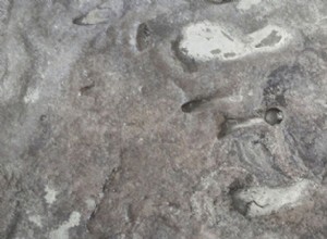 The oldest footprints of Homo Erectus, in Eritrea 