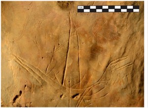 The petroglyphs of the Asphendou cave in Crete, the oldest in Greece, date to the end of the Pleistocene 