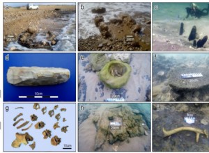 World s oldest known coastal defense system discovered in Israel 