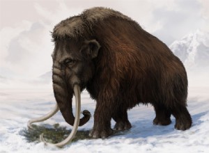 From 15,000 BC. AD 550 AD. AD:North America 