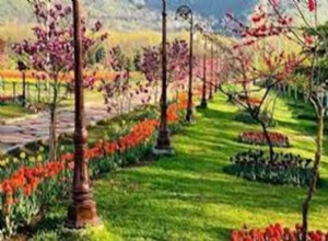 24. Glorious procession of Gulangan festival 