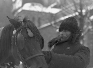 A forgotten  delicacy . Why did the inhabitants of pre-war Poland eat thousands of horses? 