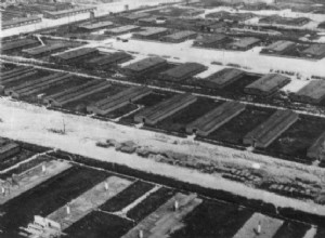 A real Polish heroine. She saved thousands of women at Majdanek. 