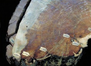 Meat rain, a year without summer, Egyptian darkness - harbingers of an apocalypse that (fortunately) did not come true 