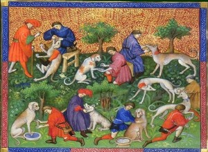 History written with beak, claw and paw. 10 truly amazing animals 