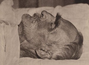 Why was his brain sent to a psychiatric hospital after Piłsudski s death? 