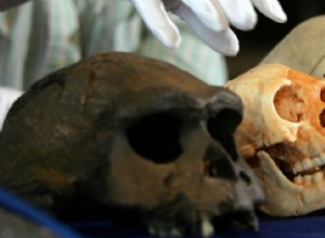 Flores Man:There Wasn t Just One Hobbit Cave 