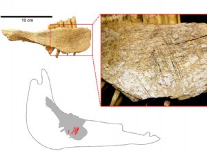 Men present in North America 24,000 years ago 