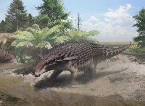 This armored dinosaur was wary of predators 