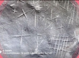 VIDEO. Camille s chronicle:Fontainebleau, the little Lascaux of Seine-et-Marne 