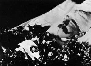 The Mayerling drama, suicide or state crime? 