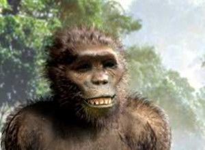 Google Remember the Finding of Lucy 